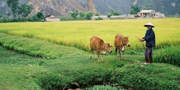 Wildlife Works Panorama Look at Community-Driven Conservation